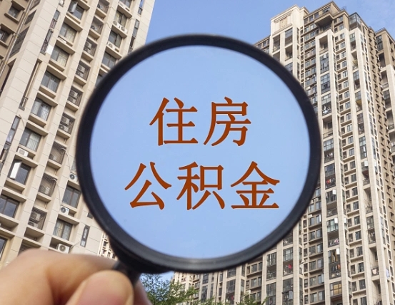 浮梁退休后查不到公积金明细了吗（退休后公积金查询不到原因）
